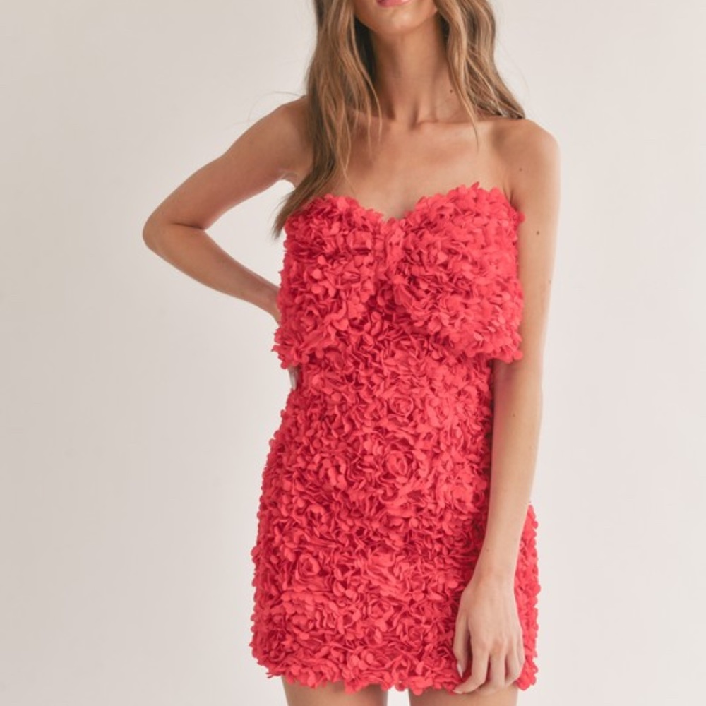FLORAL APPLIQUE MINI DRESS WITH FRONT LARGE BOW